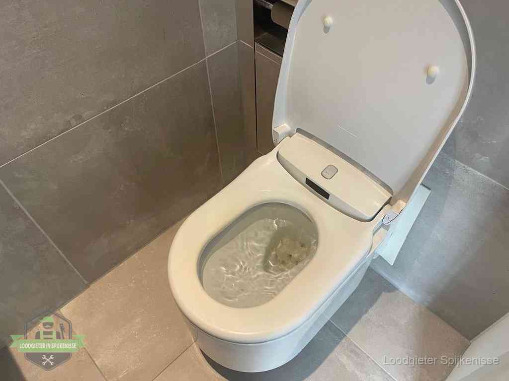 WC verstopt in Spijkenisse WC verstopt in Spijkenisse